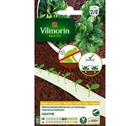 Vilmorin - Ruban de graines Mache Agathe 5 mètres