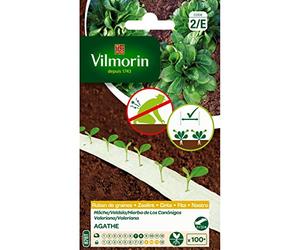 Vilmorin - Ruban de graines Mache Agathe 5 mètres