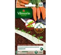 Carotte Nanco HF1 - Ruban de graines - 5 m