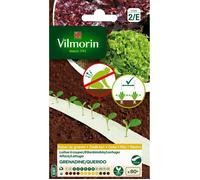 VILMORIN Ruban Mélange Seeds Duo de Laitues A Cooper Mug 2 x 2 m