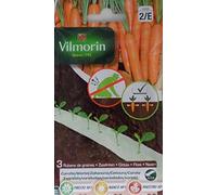 VILMORIN Ruban mélange graines Saison de Carottes : PRESTO, NANCO, MAESTRO - 3 x 2 m