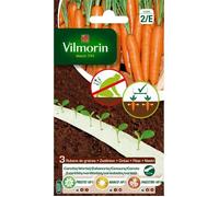 VILMORIN Ruban mélange graines Saison de Carottes : PRESTO, NANCO, MAESTRO - 3 x 2 m