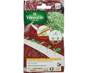 VILMORIN Ruban Mélange Seeds Duo de Laitues A Cooper Mug 2 x 2 m