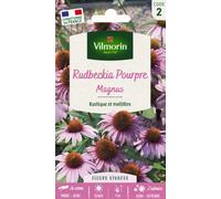 VILMORIN-Rudbeckia Pourpre Magnus Vilmorin - graines à semer