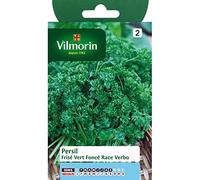 VILMORIN - Sachet aromatique de Persil Frisé vert foncé