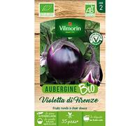 Vilmorin - Sachet de graines Aubergine Violette de Florence BIO