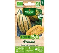 Vilmorin - Sachet de graines Courge Delicata BIO