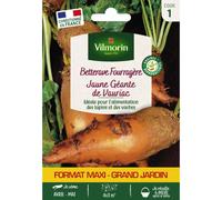 VILMORIN-Sachet de graines de betterave fourragère jaune géante de Vauriac format économique