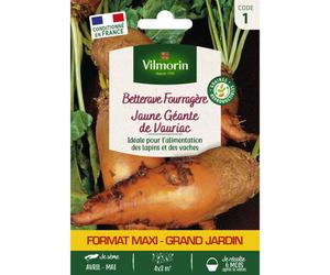 VILMORIN-Sachet de graines de betterave fourragère jaune géante de Vauriac format économique