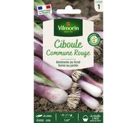 VILMORIN-Sachet de graines de ciboule commune rouge