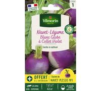 VILMORIN-Sachet de graines de navet-légume blanc globe à collet violet