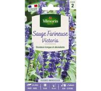 VILMORIN-Sachet de graines de sauge