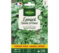 VILMORIN-Sachet de graines d'épinard géant d'hiver format économique
