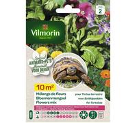 Vilmorin - Sachet de graines - Mélange de fleurs pour tortues terrestres 10 m²