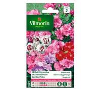 Vilmorin - Sachet de graines Oeillet Mignardise simple varié