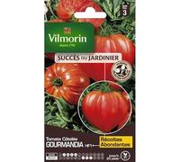 VILMORIN Tomate Gourmandia F1 Vilmorin série 3