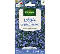 VILMORIN-Sachet de Lobelia Crystal Palace Blue