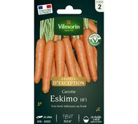 VILMORIN-Sachet de semences potagère graines de carotte Eskimo HF1 Graines d'Exception