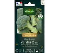 VILMORIN-Sachet de semences potagères de graines de chou Brocoli Verdia 2 HF1 Graines d'Exception