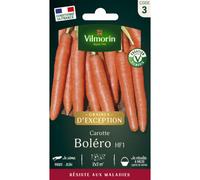 VILMORIN-Sachet de semences potagères graines de carotte Boléro HF1 Graines d'Exception