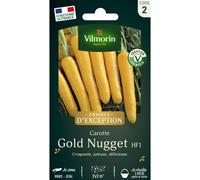 VILMORIN-Sachet de semences potagères graines de carotte Goldnugget HF1 Graines d'Exception