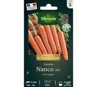 VILMORIN-Sachet de semences potagères graines de carotte Nanco HF1 Graines d'Exception