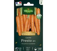 VILMORIN-Sachet de semences potagères graines de carotte Presto HF1 Graines d'Exception