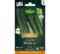 VILMORIN-Sachet de semences potagères graines de concombre bella