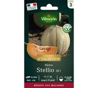 VILMORIN-Sachet de semences potagères graines de melon Brode Stellio Graines d'Exception