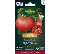 VILMORIN-Sachet de semences potagères graines de tomate Agora Graines d'Exception