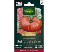 VILMORIN-Sachet de semences potagères graines de tomate Buffalo Steak HF1 Graines d'Exception
