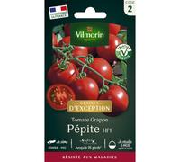 VILMORIN-Sachet de semences potagères graines de tomate Pépite HF1 à grappe