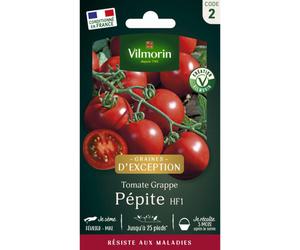 VILMORIN-Sachet de semences potagères graines de tomate Pépite HF1 à grappe