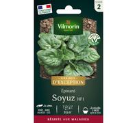 VILMORIN-Sachet de semences potagères graines d'épinard Soyuz HF1 VL2