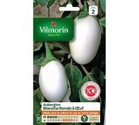 Vilmorin - Sachet graines Aubergine blanche ronde à oeuf