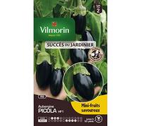 Vilmorin - Sachet graines Aubergine PICOLA HF1