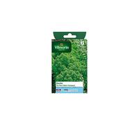 Vilmorin - Sachet graines Basilic fin vert nain compact