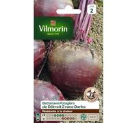 VILMORIN-Graines de Betterave potagère de Détroit 2race Darko Vilmorin - graines à semer