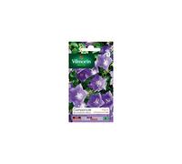 Vilmorin - Sachet graines Campanule des carpathes bleue