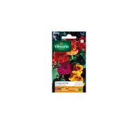 Vilmorin - Sachet graines Capucine DE LOBB VARIEE