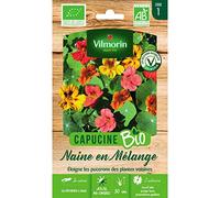 Vilmorin Sachet graines Capucine Naine en mélange Bio - Tropaeolum majus