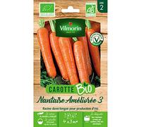 Vilmorin - Sachet graines Carotte Nantaise améliorée 3 BIO - Daucus carota