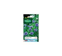 Vilmorin Sachet graines Centaurée Bleuet Bleue