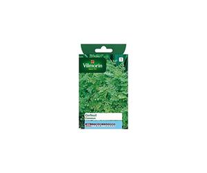 Vilmorin - Sachet graines Cerfeuil commun
