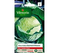 Vilmorin - Sachet graines Chou Cabus Quintal d'Alsace