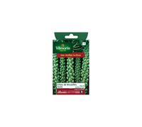 Vilmorin - Sachet graines Chou de bruxelles SANDA