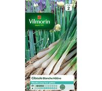 Vilmorin - Sachet graines Ciboule Blanche Hâtive