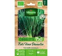 Vilmorin - Sachet graines Ciboulette très fine danoise BIO - Allium schoenoprasum