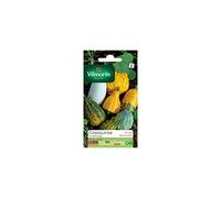 Vilmorin – Coloquinte multicolore 9 x 0,5 x 16 cm
