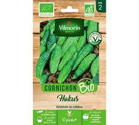 Vilmorin Sachet graines Cornichon Hokus Bio - Cucumis sativus